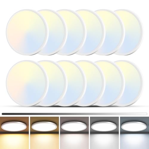 12Pack LED Flush Mount Ceiling Light (12 Count)