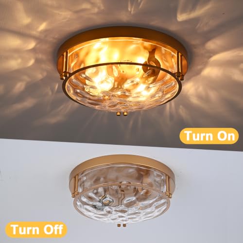 Gold 2 Light Ceiling Light Fixture with Hammered Glass