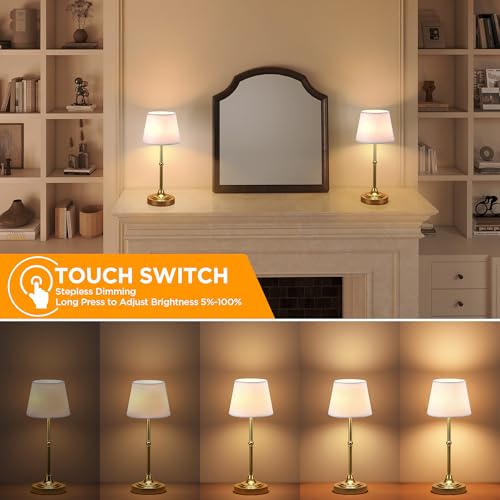Cordless Table Lamp