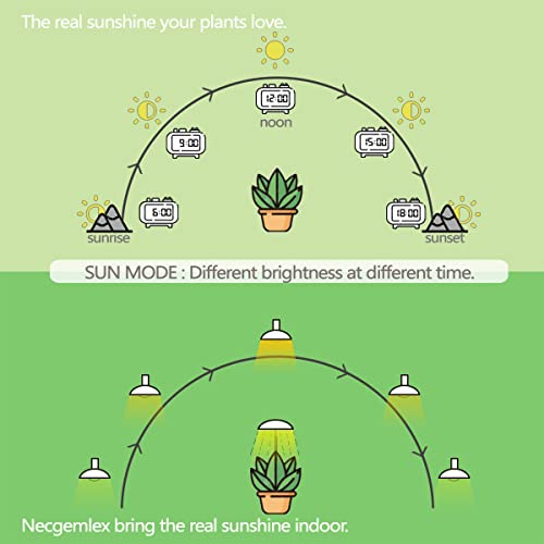 Smart Grow Light Bulbs for Indoor Plants (4 Count)