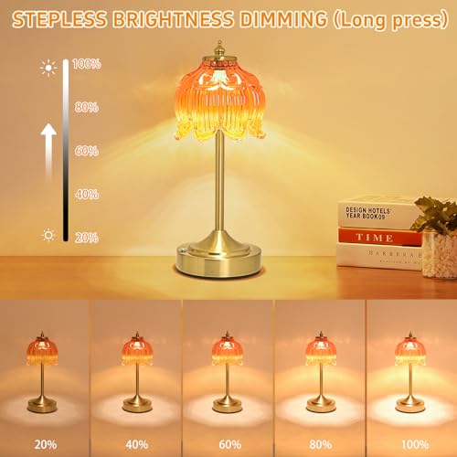 Cordless Table Lamp