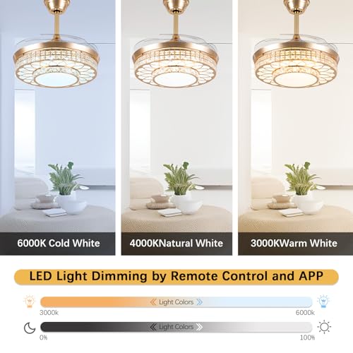 42" Retractable Ceiling Fans with Lights