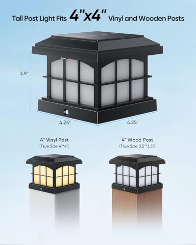 RGBCW Solar Post Cap Lights 8 (8 Count)