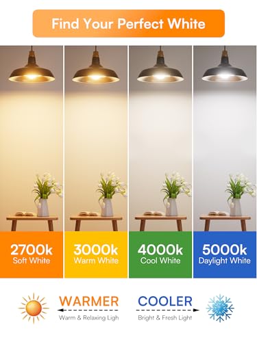 Dimmable LED Light Bulbs 40W Eq (8 Count)