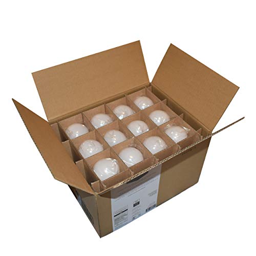 A19 LED Light Bulbs (24 Count)
