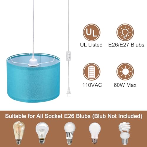 Plug in Pendant Light