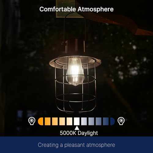 Dusk to Dawn Outdoor Sensor ST19 LED Edison Bulb (2 Count)