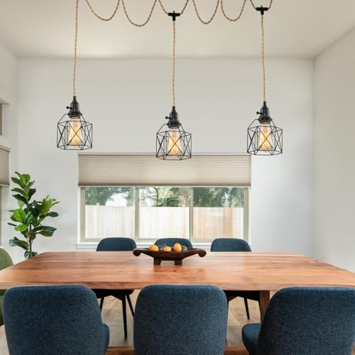 3 Light Hanging Light with Plug in Cord