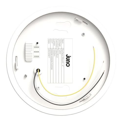 Slim Basics 4 Inch LED Ceiling Light
