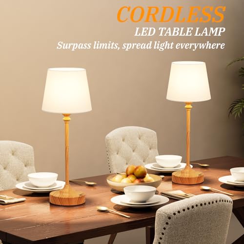 Cordless Table Lamps Rechargeable Set (2 Count)