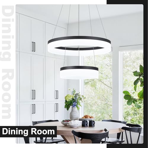 2 Ring Modern LED Chandelier