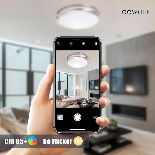 12inch LED Flush Mount Ceiling Light Fixture Dimmable Brushed Nickel (2 Count)