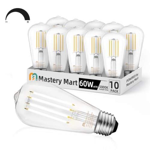 10 Pack Vintage Edison Bulbs (10 Count)