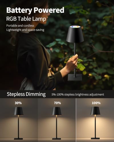 2 Pack Cordless Black Table Lamps (2 Count)
