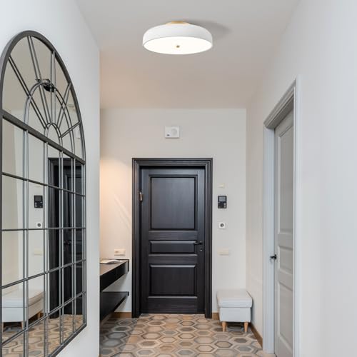 Dimmable LED Ceiling Light Fixture