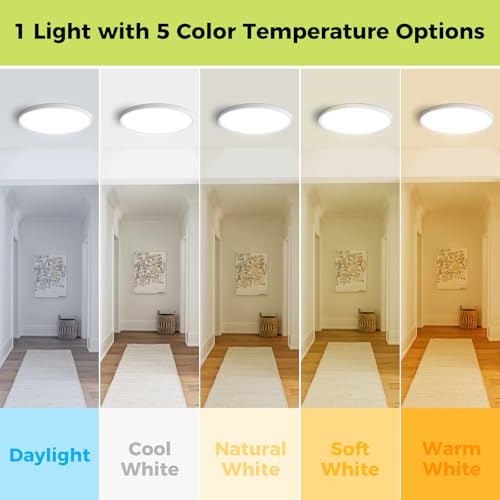 1Pack LED Flush Mount Ceiling Light Fixture