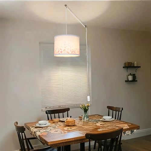 Boho Plug in Pendant Light