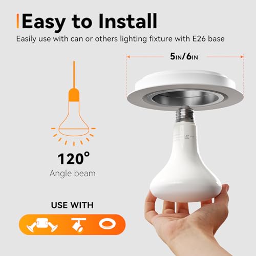 12 Pack BR30 Flood Light Bulb Indoor (12 Count)