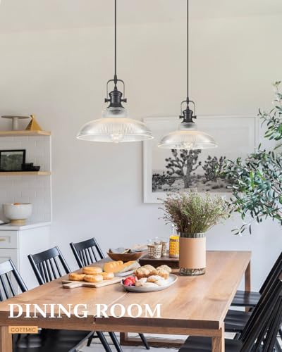 Black Glass Pendant Lights Kitchen Island (2 Count)