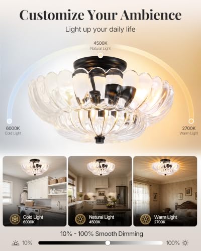 Semi Flush Mount Ceiling Light Fixture 14" Vinatge Black Ceiling Lights Mid Century Modern Clear Glass Close to Ceiling Lighting Fixtures for Bedroom Hallway Kitchen Laundry Room Bathroom