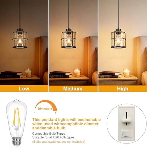 Black Pendant Lights Kitchen Island (2 Count)