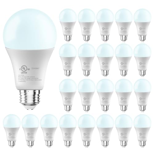 LED Light Bulbs (24 Count)