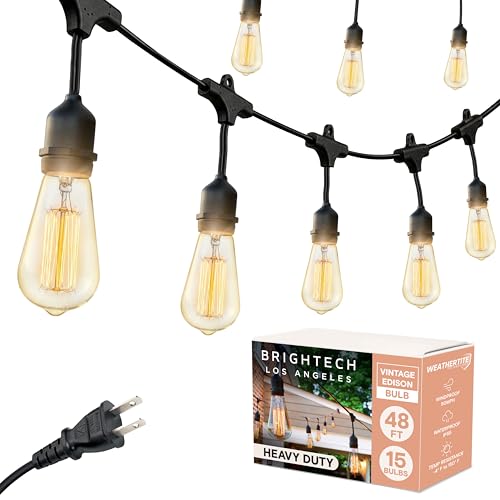 Ambience Pro Incandescent Outdoor String Lights (48 Foot)