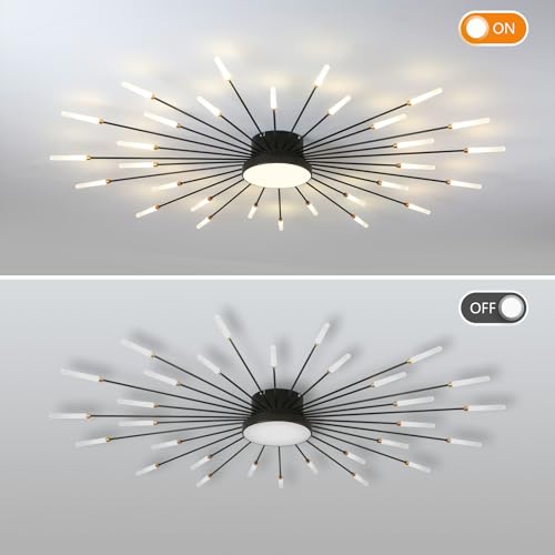 Modern Ceiling Light