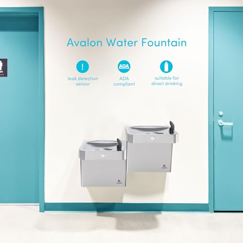 Wall Mounted Water Fountain with Bottle Filling Station
