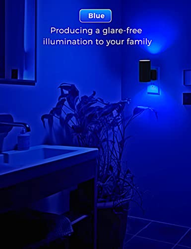 Calm Blue Night Light (2 Count)