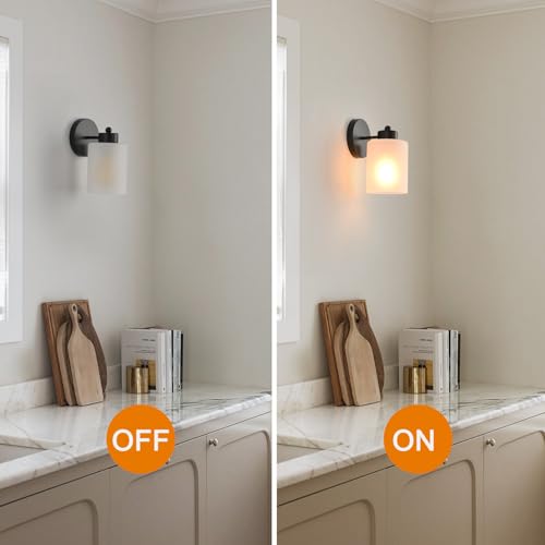 Metal Sconces Wall Lighting with Clear Glass Shade
