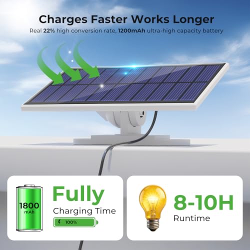 Solar Lights Outdoor (2 Count)