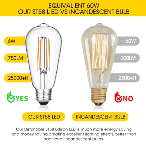 Vintage LED Edison Bulbs 6W (6 Count)