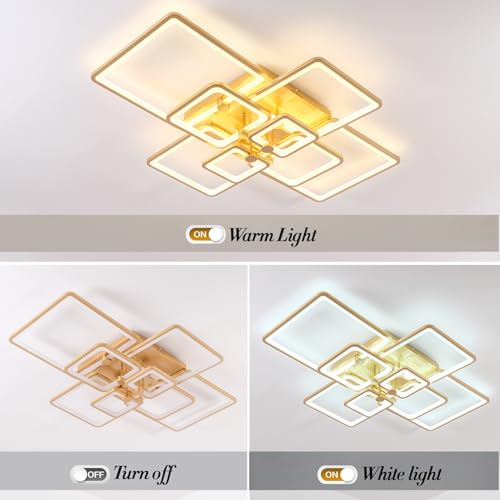 Modern LED Ceiling Light