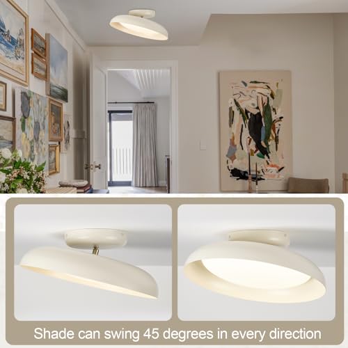 Dimmable LED Ceiling Light