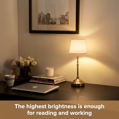 2 Pack Cordless Table Lamp (2 Count)