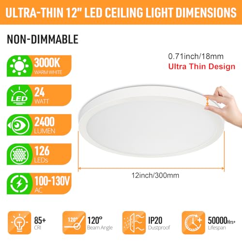 LED Flush Mount Ceiling Light 3000K