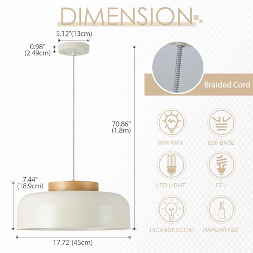 Modern Large Pendant Light