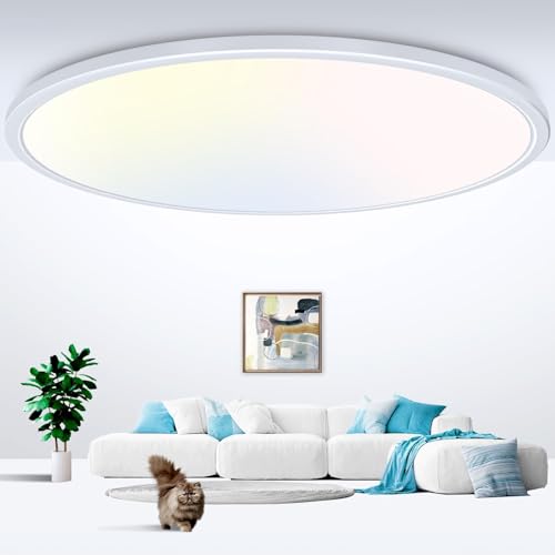 20 inch LED Flush Mount Ceiling Light