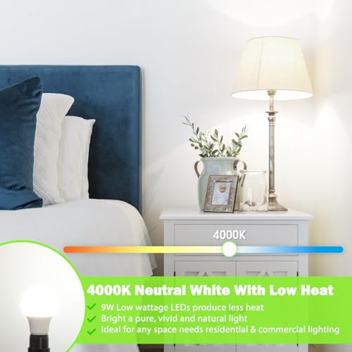 A19 LED Light Bulb 60W Equivalent (4 Count)