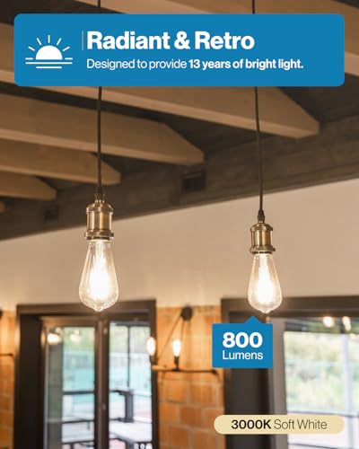 Sunco 50 Pack Edison Bulbs LED ST64 (50 Count)