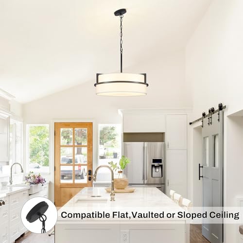 19.7" Black Drum Chandelier