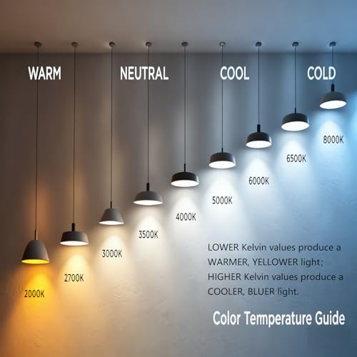 A19 LED Light Bulbs Dimmable (12 Count)