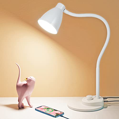 LED Desk Lamp with USB Charging Port