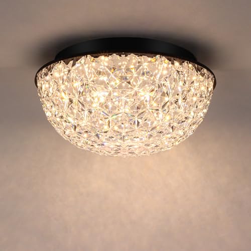 12'' Modern LED Ceiling Light