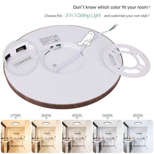 12 Inch LED Flush Mount Ceiling Light Fixture