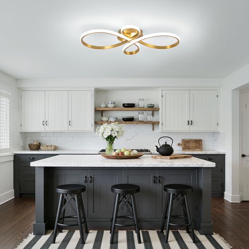 Modern LED Ceiling Light