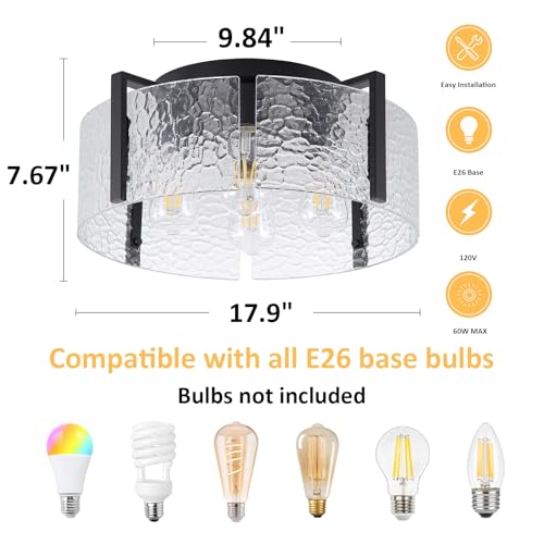 Black Flush Mount Ceiling Light Fixture