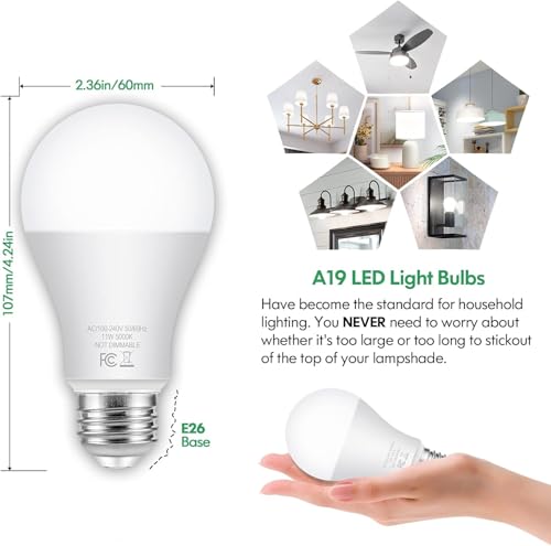 24 Pack LED Light Bulbs 100 Watt Equivalent A19 Daylight White 5000K (24 Count)