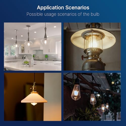 7W LED Edison Bulbs